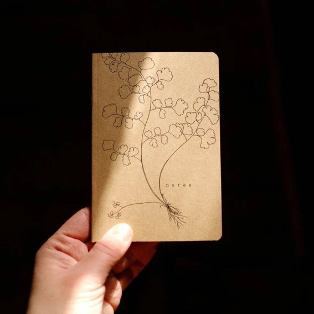 4 Notebooks, Fern Notebook, Mini Notes, Kraft Notebook, Maidenhair Fern